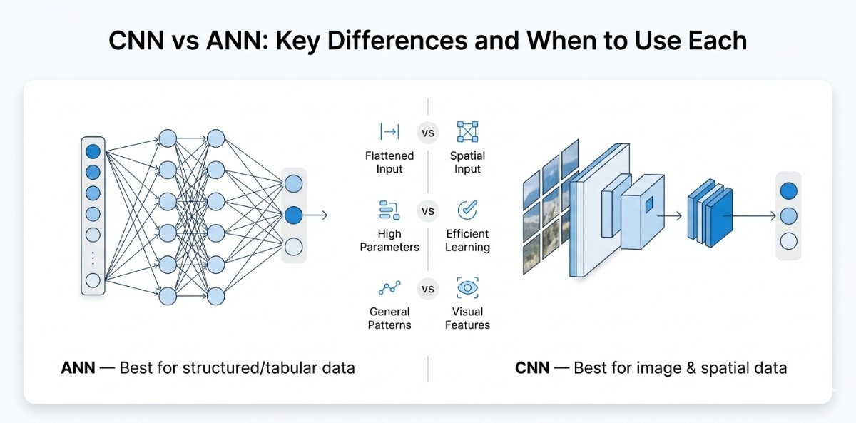 an image showcasing the key differences between ANN and CNN
